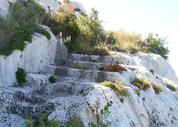 TarìBed and Breakfast